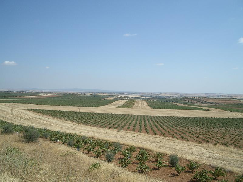 Zuid Spanje 2008 227.jpg